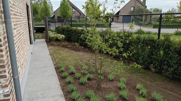 Aanplantingen 10