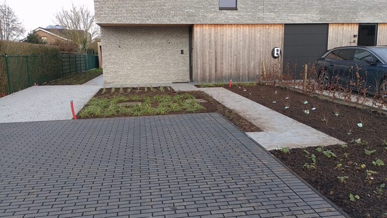 Aanplantingen 2