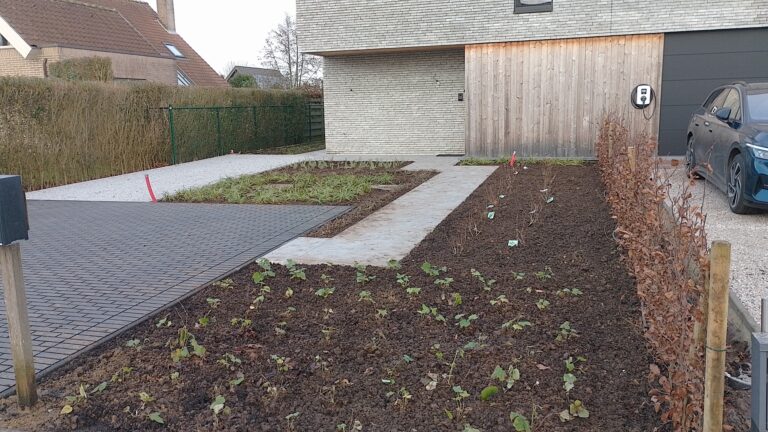 Aanplantingen 3
