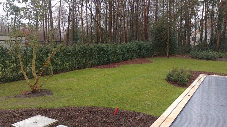 Aanplantingen 8