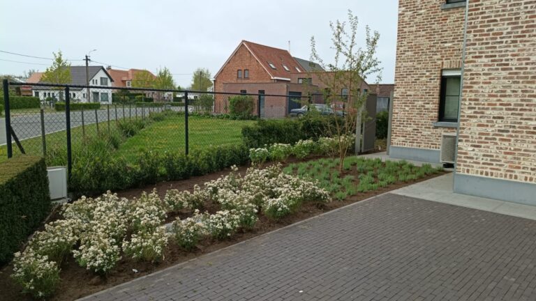 Aanplantingen 9