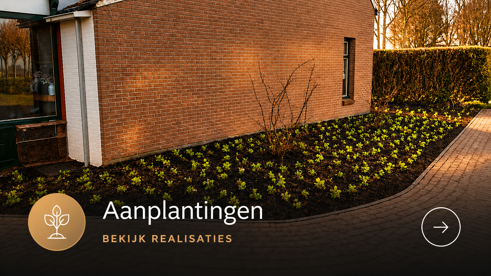 Aanplantingen - Realisaties