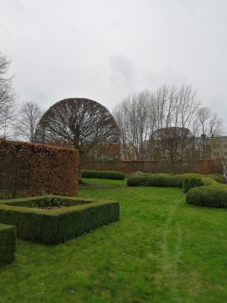 Snoeiwerken 4