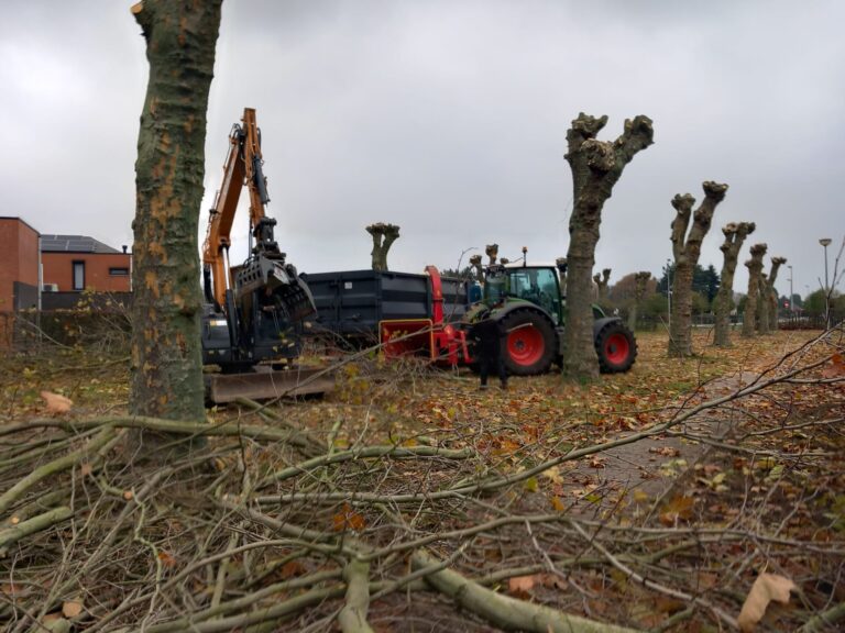 Snoeiwerken 6